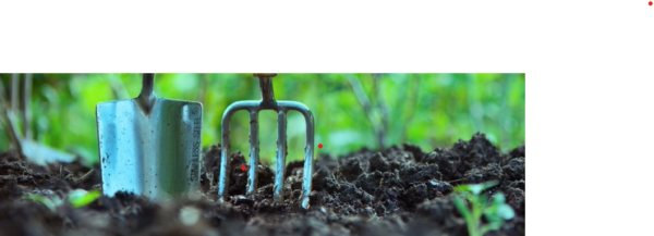 Progetto Orti e giardini condivisi: ecco un breve power point come lavoro conclusivo delle attività.